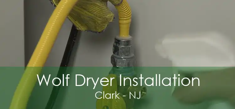 Wolf Dryer Installation Clark - NJ