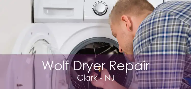 Wolf Dryer Repair Clark - NJ