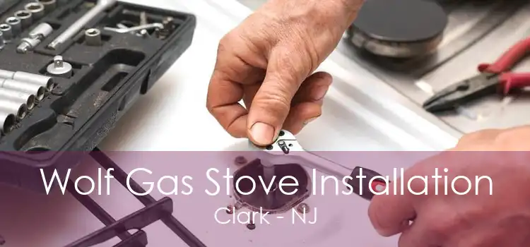 Wolf Gas Stove Installation Clark - NJ