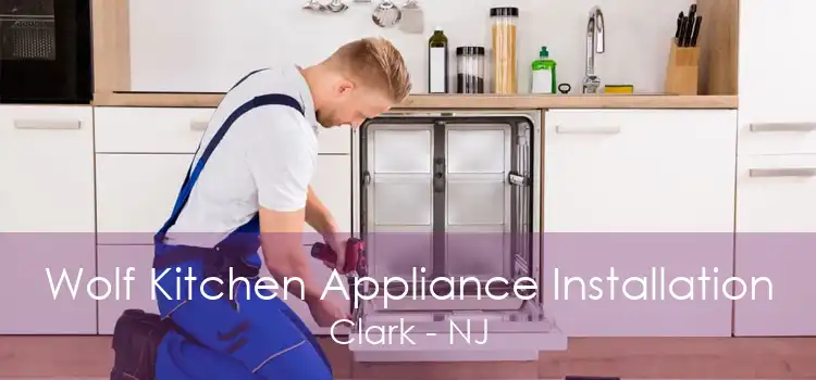 Wolf Kitchen Appliance Installation Clark - NJ