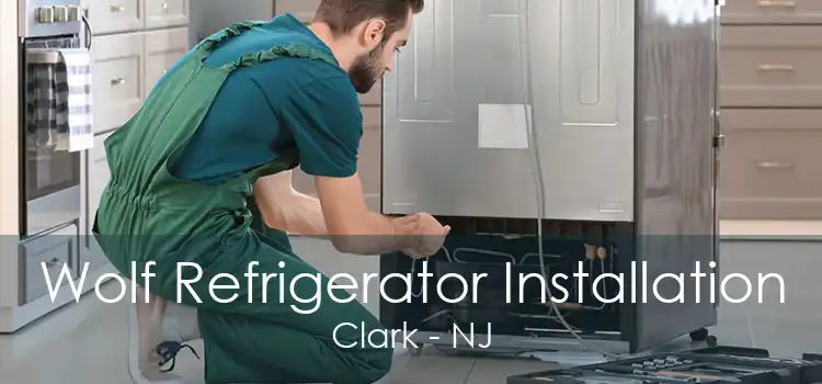 Wolf Refrigerator Installation Clark - NJ