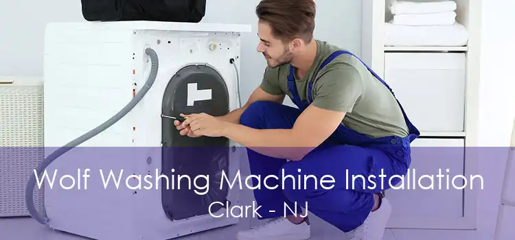 Wolf Washing Machine Installation Clark - NJ